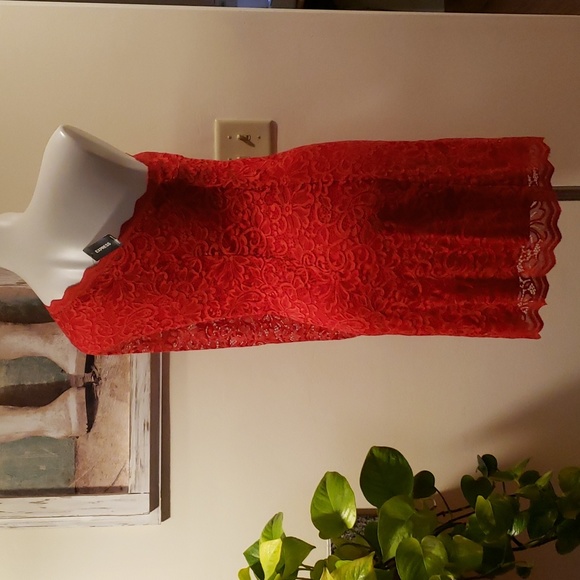 Express Dress - Picture 8 of 12